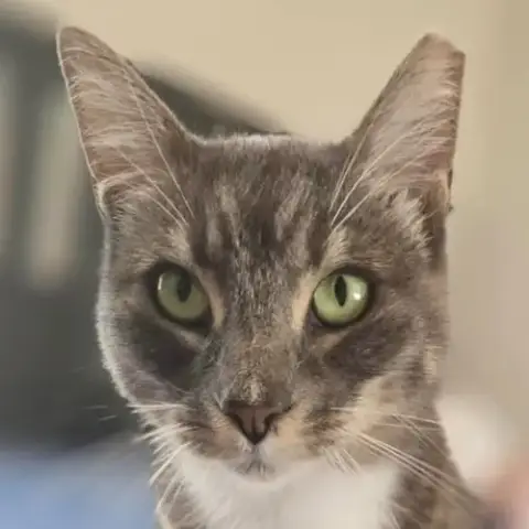 Rosie