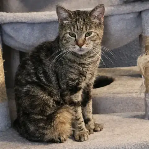 Mimi