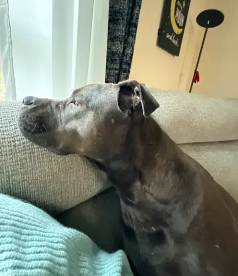 Annie Aka Mocha photo 2