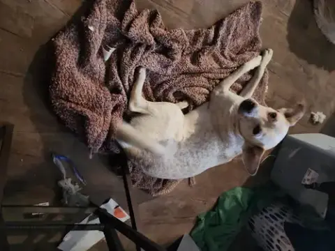 Kya