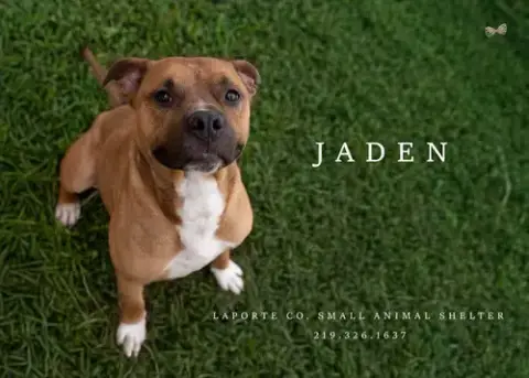 Jaden