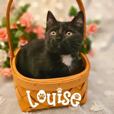 Louise photo 2