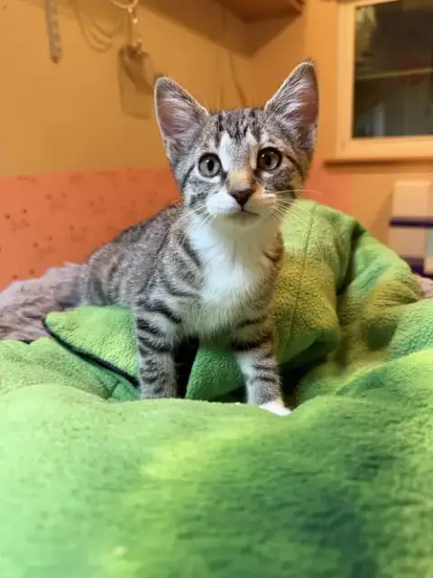 Tatiana photo 3