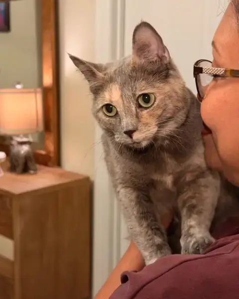 Pebbles