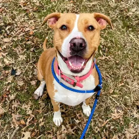 Kaycee In Verona Va