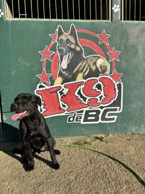 Barnaby photo 2