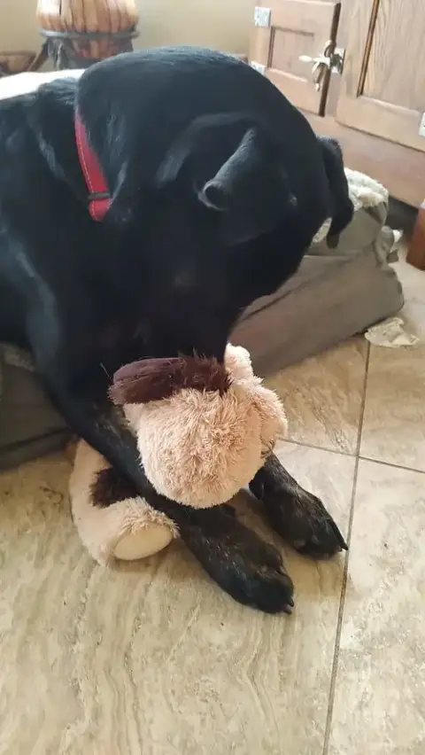 Marco photo 5