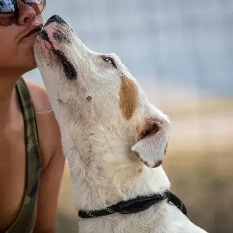 Wishbone Jum photo 4