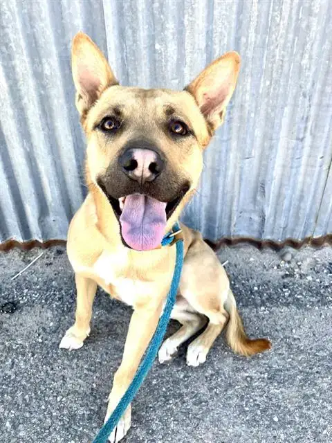 Milo