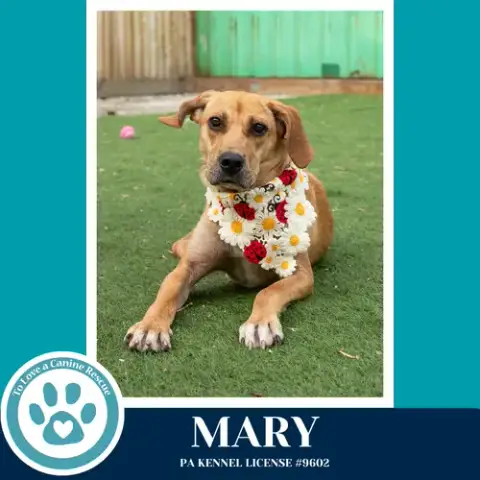 Mary 032826 photo 3