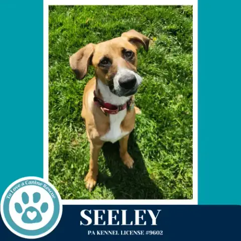 Seeley photo 2