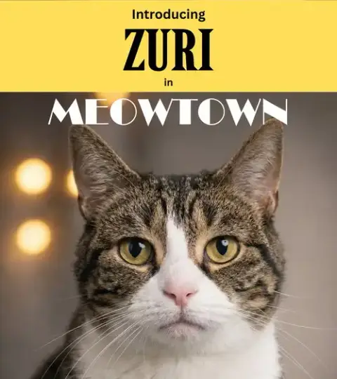 Zuri