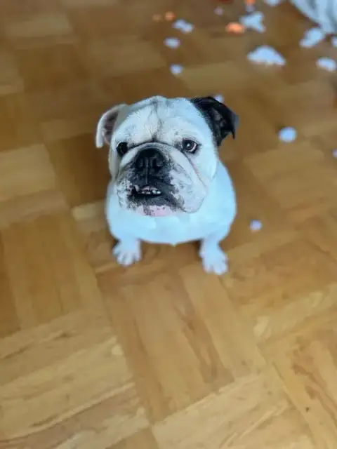 Nash