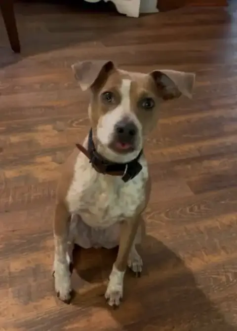 Penny