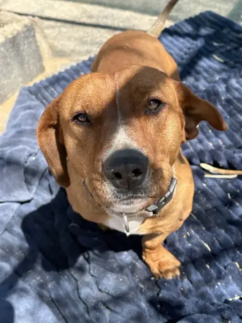 Buddy photo 2