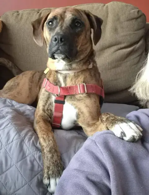 Layla photo 4