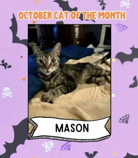 Mason photo 3
