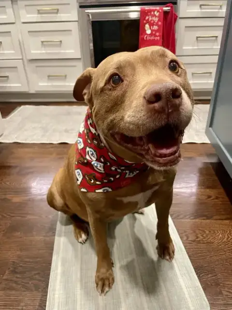 Ruby