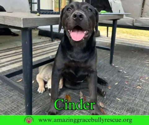 Cinder photo 2