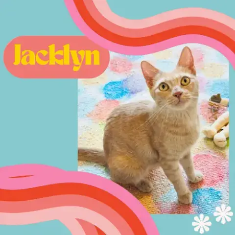Jacklyn