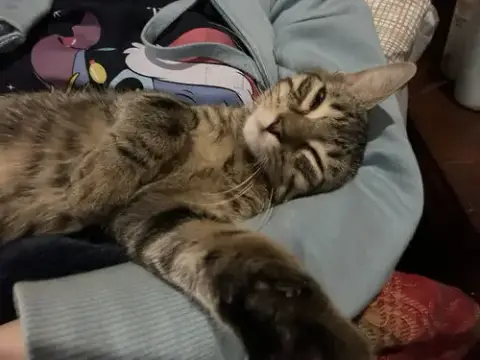 Fergie