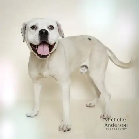 Petey