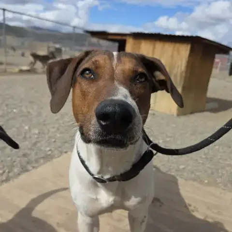 Sprocket photo 4