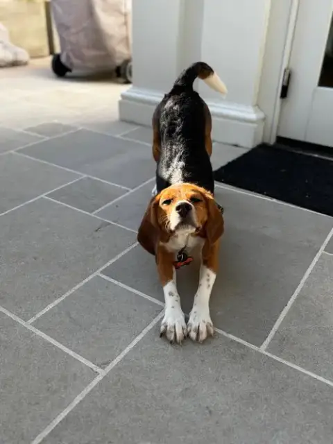 Maggie Lou photo 2