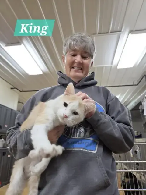 King photo 5