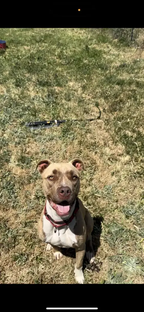 Addie photo 3