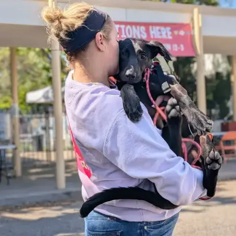 Zelda photo 4