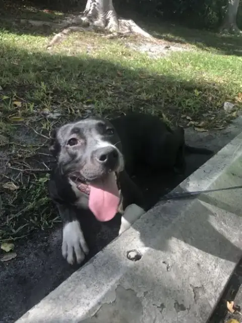 Fiona photo 5