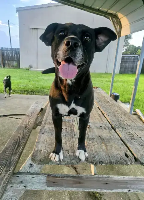 India- Sweet Soulful Girl