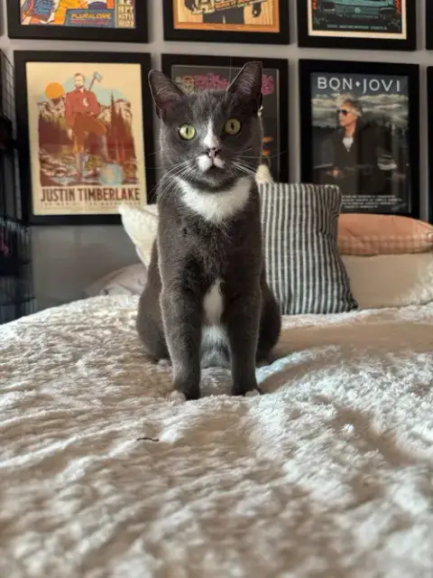 Mochi photo 4