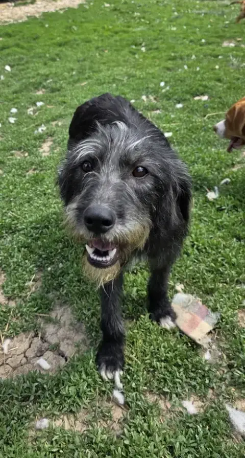 Dottie Doo photo 2