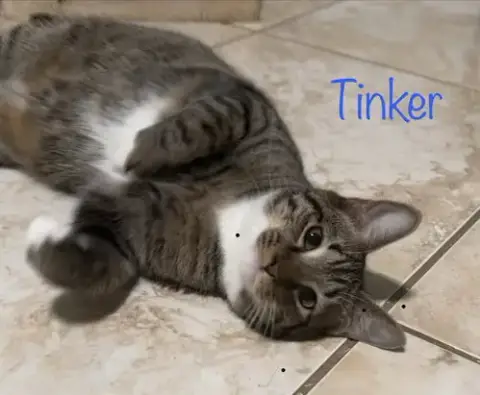 Tinker