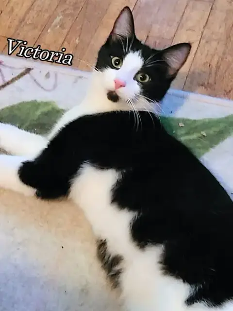Victoria photo 2