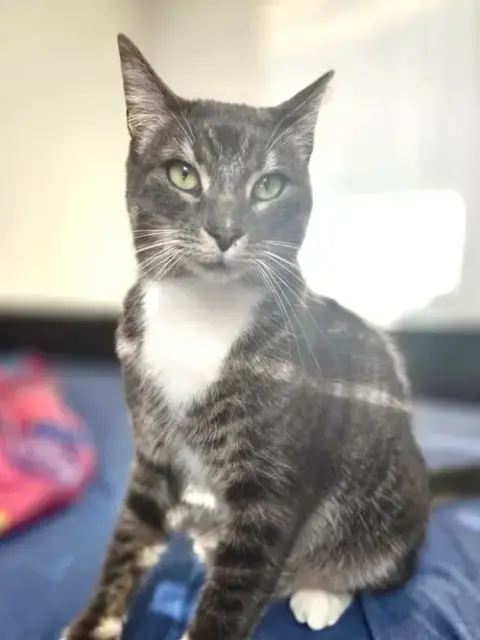 Rosie photo 3