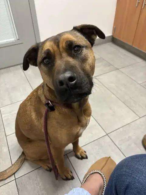 Nalla