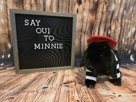 Minnie