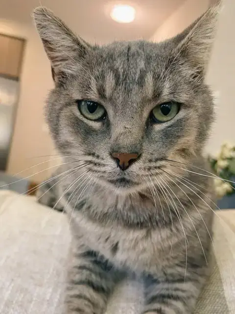 Rio
