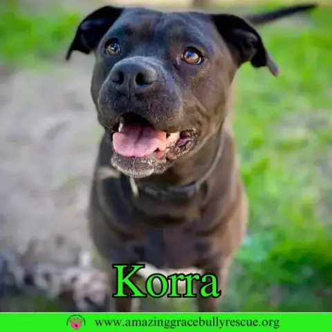 Korra photo 5