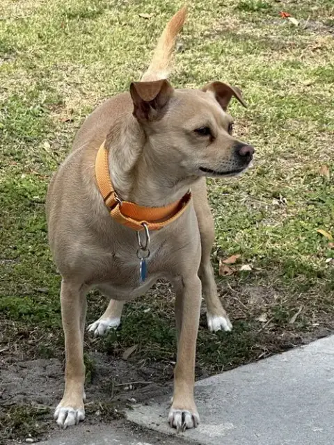 Waldo photo 2