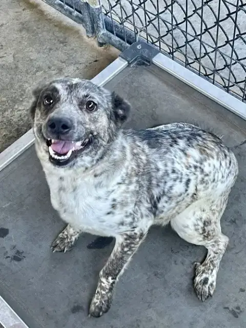 Miss Maxine
