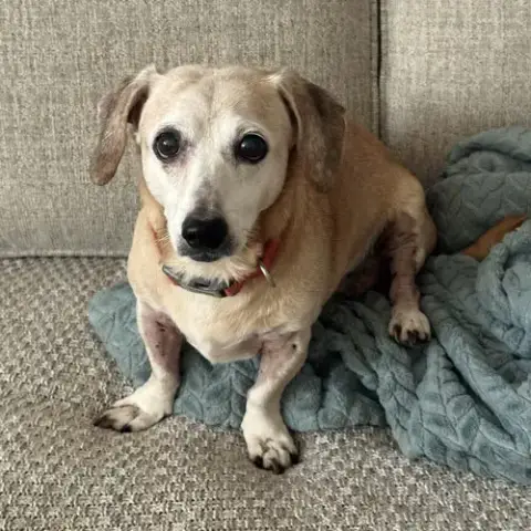Tucker photo 2
