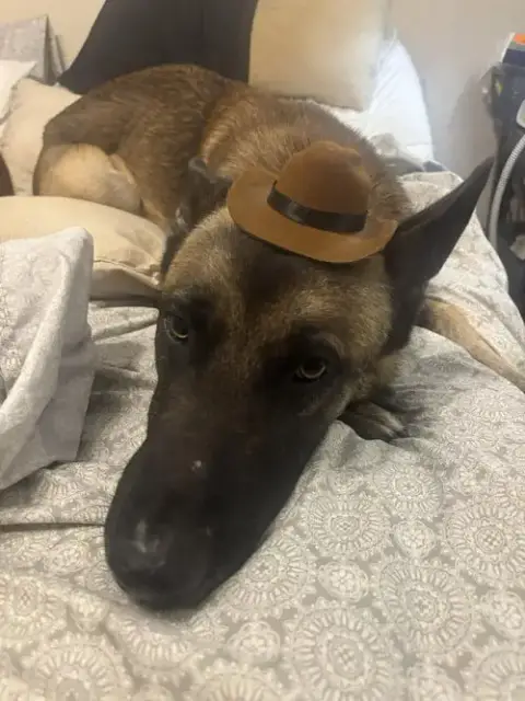 Hunter photo 2