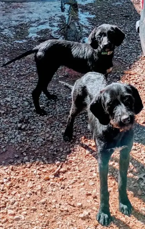 Luna & Yin Yang