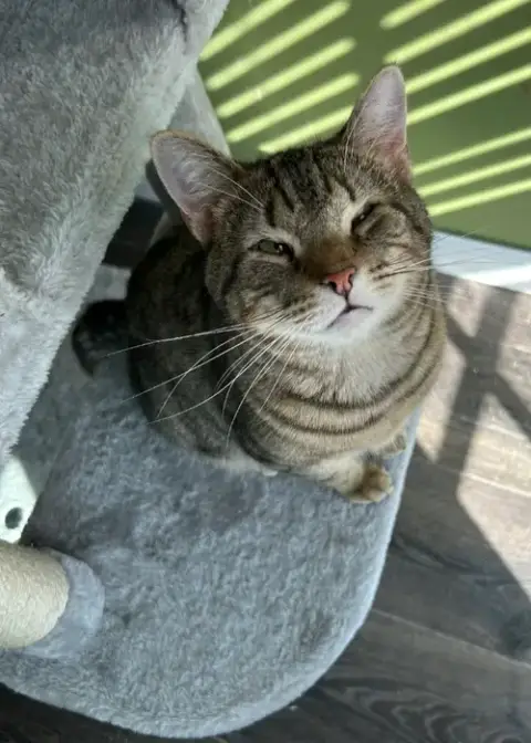 Buddy photo 2