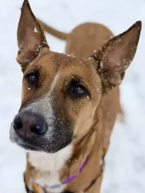 Marley