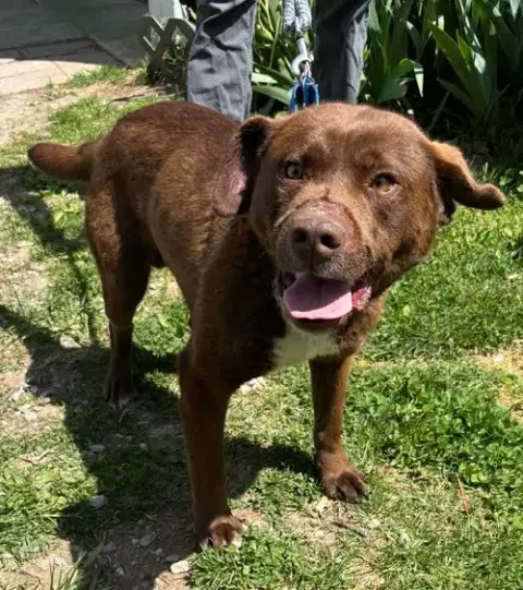 Rucker: At Shelter